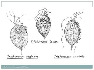 Departamento de Agentes Biológicos
 