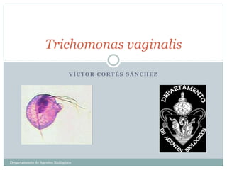 Trichomonas vaginalis

                                VÍCTOR CORTÉS SÁNCHEZ




Departamento de Agentes Biológicos
 