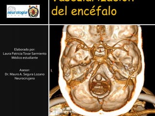 Vascularización
                                 del encéfalo


       Elaborado por:
Laura Patricia Tovar Sarmiento
      Médico estudiante


           Asesor:
 Dr. Mauro A. Segura Lozano
       Neurocirujano
 