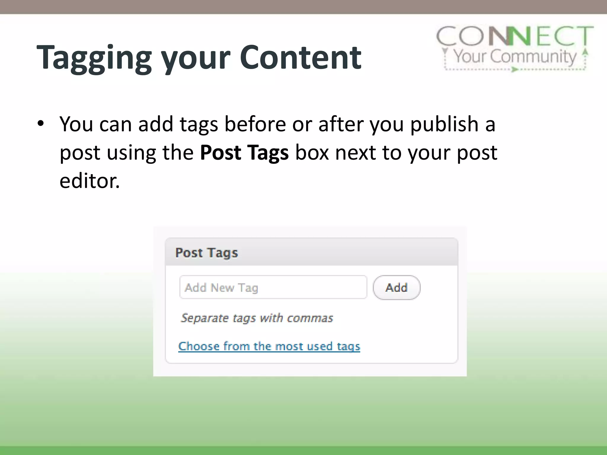 Tagging your Content
• You can add tags before or after you publish a
  post using the Post Tags box next to your post
  editor.
 