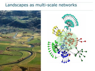Landscapes as multi-scale networks
 