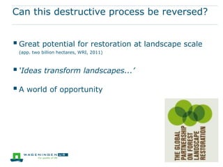 Can this destructive process be reversed?


 Great potential for restoration at landscape scale
 (app. two billion hectares, WRI, 2011)



 ‘Ideas transform landscapes...’
 A world of opportunity
 