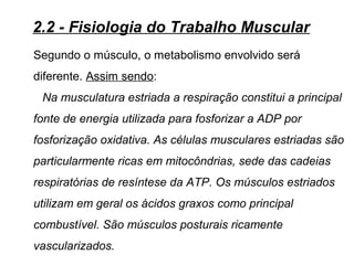 Segundo o músculo, o metabolismo envolvido será
diferente. Assim sendo:
Na musculatura estriada a respiração constitui a principal
fonte de energia utilizada para fosforizar a ADP por
fosforização oxidativa. As células musculares estriadas são
particularmente ricas em mitocôndrias, sede das cadeias
respiratórias de resíntese da ATP. Os músculos estriados
utilizam em geral os ácidos graxos como principal
combustível. São músculos posturais ricamente
vascularizados.
2.2 - Fisiologia do Trabalho Muscular
 