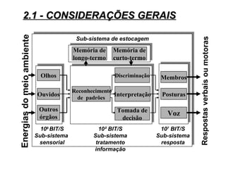 2.1 - CONSIDERAÇÕES GERAIS2.1 - CONSIDERAÇÕES GERAIS
Olhos
Ouvidos
Outros
órgãos
Reconhecimento
de padrões
Membros
Posturas
Voz
Memória de
curto-termo
Memória de
longo-termo
10² BIT/S
Sub-sistema
tratamento
informação
107
BIT/S
Sub-sistema
resposta
Energiasdomeioambiente
Respostasverbaisoumotoras
Sub-sistema de estocagem
109
BIT/S
Sub-sistema
sensorial
Discriminação
Interpretação
Tomada de
decisão
 