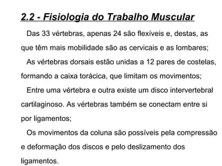 Das 33 vértebras, apenas 24 são flexíveis e, destas, as
que têm mais mobilidade são as cervicais e as lombares;
As vértebras dorsais estão unidas a 12 pares de costelas,
formando a caixa torácica, que limitam os movimentos;
Entre uma vértebra e outra existe um disco intervertebral
cartilaginoso. As vértebras também se conectam entre si
por ligamentos;
Os movimentos da coluna são possíveis pela compressão
e deformação dos discos e pelo deslizamento dos
ligamentos.
2.2 - Fisiologia do Trabalho Muscular
 