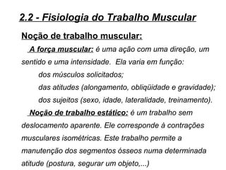Noção de trabalho muscular:
A força muscular: é uma ação com uma direção, um
sentido e uma intensidade. Ela varia em função:
dos músculos solicitados;
das atitudes (alongamento, obliqüidade e gravidade);
dos sujeitos (sexo, idade, lateralidade, treinamento).
Noção de trabalho estático: é um trabalho sem
deslocamento aparente. Ele corresponde à contrações
musculares isométricas. Este trabalho permite a
manutenção dos segmentos ósseos numa determinada
atitude (postura, segurar um objeto,...)
2.2 - Fisiologia do Trabalho Muscular
 