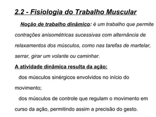 Noção de trabalho dinâmico: é um trabalho que permite
contrações anisométricas sucessivas com alternância de
relaxamentos dos músculos, como nas tarefas de martelar,
serrar, girar um volante ou caminhar.
A atividade dinâmica resulta da ação:
dos músculos sinérgicos envolvidos no início do
movimento;
dos músculos de controle que regulam o movimento em
curso da ação, permitindo assim a precisão do gesto.
2.2 - Fisiologia do Trabalho Muscular
 