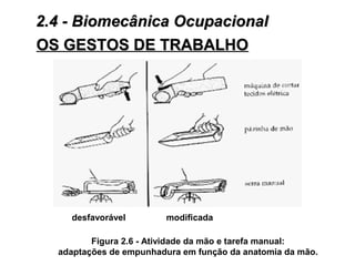 OS GESTOS DE TRABALHOOS GESTOS DE TRABALHO
Figura 2.6 - Atividade da mão e tarefa manual:
adaptações de empunhadura em função da anatomia da mão.
desfavorável modificada
2.4 - Biomecânica Ocupacional2.4 - Biomecânica Ocupacional
 