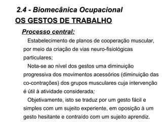 Processo central:
Estabelecimento de planos de cooperação muscular,
por meio da criação de vias neuro-fisiológicas
particulares;
Nota-se ao nível dos gestos uma diminuição
progressiva dos movimentos acessórios (diminuição das
co-contrações) dos grupos musculares cuja intervenção
é útil à atividade considerada;
Objetivamente, isto se traduz por um gesto fácil e
simples com um sujeito experiente, em oposição à um
gesto hesitante e contraído com um sujeito aprendiz.
OS GESTOS DE TRABALHOOS GESTOS DE TRABALHO
2.4 - Biomecânica Ocupacional2.4 - Biomecânica Ocupacional
 