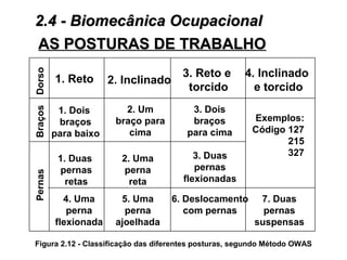 AS POSTURAS DE TRABALHOAS POSTURAS DE TRABALHODorsoBraçosPernas
Exemplos:
Código 127
215
327
1. Reto 2. Inclinado
3. Reto e
torcido
4. Inclinado
e torcido
1. Dois
braços
para baixo
2. Um
braço para
cima
3. Dois
braços
para cima
1. Duas
pernas
retas
2. Uma
perna
reta
3. Duas
pernas
flexionadas
4. Uma
perna
flexionada
5. Uma
perna
ajoelhada
6. Deslocamento
com pernas
7. Duas
pernas
suspensas
Figura 2.12 - Classificação das diferentes posturas, segundo Método OWAS
2.4 - Biomecânica Ocupacional2.4 - Biomecânica Ocupacional
 