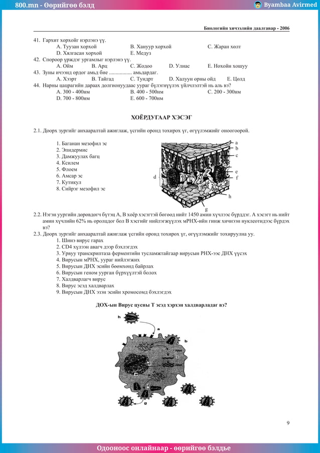 800.mn - 2006 Биологи ЭЕШ by byambaa avirmed