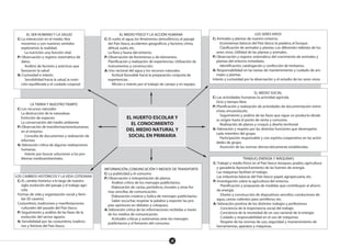 15
EL HUERTO ESCOLAR Y
EL CONOCIMIENTO
DEL MEDIO NATURAL Y
SOCIAL EN PRIMARIA
EL SER HUMANO Y LA SALUD
C: La interacción en el medio. Nos
movemos y con nuestros sentidos
exploramos la realidad.
La nutrición: una función vital.
P: Observación y registro sistemático de
datos.
Análisis de factores y prácticas que
favorecen la salud
A: Curiosidad e interés.
Sensibilidad hacia la salud, la nutri-
ción equilibrada y el cuidado corporal
EL MEDIO FÍSICO Y LA ACCIÓN HUMANA
C: El suelo, el agua, los fenómenos atmosféricos, el paisaje
del País Vasco, accidentes geograficos y factores: clima,
altitud, suelo, etc.
La flora y fauna del entorno.
P: Observación de fenómenos y de elementos.
Planificación y realización de experiencias. Utilización de
instrumentos y construcción.
A: Uso racional del agua y los recursos naturales.
Actitud favorable hacia la preparación conjunta de
experiencias.
Afición e interés por el trabajo de campo y en equipo.
LOS SERES VIVOS
C: Animales y plantas de nuestro entorno.
Ecosistemas básicos del País Vasco: la pradera, el bosque.
Clasificación de animales y plantas. Los diferentes hábitats de los
seres vivos. Utilidad de las plantas y animales.
P: Observación y registro sistemático del crecimiento de animales y
plantas del entorno inmediato.
Identificación, catalogación y confección de herbarios.
A: Responsabilidad en las tareas de mantenimiento y cuidado de ani-
males y plantas.
Interés y curiosidad por la observación y el estudio de los seres vivos.
LA TIERRA Y NUESTRO TIEMPO
C: Los recursos naturales
La destrucción de la naturaleza
Extinción de especies
La conservación del medio ambiente
P: Observación de transformacioneshumanas
en el entorno.
Consulta de documentos y realización de
informes
A: Valoración crítica de algunas realizaciones
humanas.
Interés por buscar soluciones a los pro-
blemas medioambientales.
EL MEDIO SOCIAL
C: Las actividades humanas: la actividad agrícola.
Ocio y tiempo libre.
P: Planificación y realización de actividades de documentación: entre-
vistas, encuestas,etc.
Seguimiento y análisis de las fases que sigue un producto desde
su origen hasta el punto de venta y consumo.
Realización de planos y croquis y diseño territorial
A: Valoración y respeto por las distintas funciones que desempeña
cada miembro del grupo.
Participación responsable y con espíritu cooperativo en las activi-
dades de grupo.
Asunción de las normas democráticamente establecidas.
TRABAJO, ENERGÍA Y MÁQUINAS
C: Trabajo y medio físico en el País Vasco: bosques, prados, agricultura
y ganadería Aprovechamiento de las fuentes de energía.
Las máquinas facilitan el trabajo.
Las industrias básicas del País Vasco: papel, agropecuaria, etc.
P: Investigación sobre la agricultura del entorno.
Planificación y propuesta de medidas que contribuyan al ahorro
de energía.
Diseño y construcción de dispositivos sencillos: conduciones de
agua, camas calientes para semilleros, etc.
A: Valoración positiva de los distintos trabajos y profesiones.
Conciencia de la importancia social del trabajo.
Conciencia de la necesidad de un uso racional de la energía.
Cuidado y responsabilidad en el uso de máquinas.
Respeto de las normas de uso, seguridad y mantenimiento de
herramientas, aparatos y máquinas.
LOS CAMBIOS HISTÓRICOS Y LA VIDA COTIDIANA
C: EL cambio histórico a lo largo de nuestro
siglo:evolución del paisaje y el trabajo agrí-
cola.
Formas de vida y organización social y fami-
liar (El caserío).
Costumbres, tradiciones y manifestaciones
culturales del pasado del País Vasco.
P: Seguimiento y análisis de las fases de la
evolución del sector agrario.
A: Sensibilidad por las costumbres, tradicio-
nes y folclore del País Vasco.
INFORMACIÓN, COMUNICACIÓN Y MEDIOS DE TRANSPORTE
C: La publicidad y el consumo
P: Observación e interpretación de planos.
Análisis crítico de los mensajes publicitarios.
Elaboración de cartas, periódicos, murales y otras for-
mas sencillas de comunicación.
Elaboración creativa y lúdica de mensajes publicitarios.
Saber escuchar, respetar la palabra y exponer las pro-
pias opiniones en debates y coloquios.
A: Valoración crítica de las informaciones recibidas a través
de los medios de comunicación.
Actitudes críticas y autónomas ante los mensajes
publicitarios y el fomento del consumo.
 
