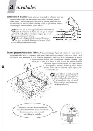 ctividadesctividadesaa
30
Desmenuzar y mezclar. Cuando la tierra se haya secado lo suficiente, tenéis que
desmenuzar los terrones con la azada, mezclando superficialmente el abono, si
habéis echado. Observad cómo queda la tierra; quizás convenga desmenuzar la tie-
rra más de una vez. Si tras la labor de volteo hay heladas, el agua del suelo al helar-
se contribuye al desmenuzamiento. ¿Sabéis por qué?
❂Como veis, con la azada se pueden realizar distintas labores;
según el movimiento, la fuerza, etc. con que la utilicéis.
Aparte de la azada, ¿habéis visto alguna máquina que se use
para desmenuzar y mezclar la tierra?
❂Podéis hacer el experimento de comprobar dónde crece-
rán mejor las raíces de las plantas: en tierra sin voltear
o en tierra bien aireada y desmenuzada.
Últimos preparativos antes de cultivar. Podría convenir (según el cultivo, la estación, etc.) que el terreno de
cultivo sobresaliera sobre los caminos que la circundan (observad el dibujo), para que escurra mejor el agua y no se
encharque el suelo, por ejemplo. Si es así, echad con una pala una capa de tierra de los caminos dentro de la parce-
la, dejando como una pequeña “zanja” que rodea los “caballones” elevados. Luego,
alisad bien la tierra de la parcela, o dadle la forma que necesite el cultivo.
Informaos: algunos cultivos requieren una superficie fina o
más “grumosa”. Después, delimitad y marcad bien las
parcelas: rodead cada una con cuerda y palos, dejando cami-
nos alrededor, etc.
❂Si tenéis el huerto en cuesta, procurad
darle también al cultivo (las parcelas,
las hileras, etc.) una dirección “transver-
sal” a la pendiente, como veis en el
dibujo. Eso evitará que el agua erosio-
ne fácilmente la tierra.
Y es que un buen hortelano/a tiene queA
cuidar bien su terreno: pisad los cultivos
lo menos posible, y no caminéis
sobre la tierra mojada.
 