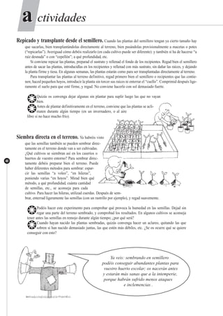ctividadesctividadesaa
40
Repicado y transplante desde el semillero. Cuando las plantas del semillero tengan ya cierto tamaño hay
que sacarlas, bien transplantándolas directamente al terreno, bien pasándolas provisionalmente a macetas o potes
(“repicarlas”). Averiguad cómo debéis realizarlo (en cada cultivo puede ser diferente): y también si ha de hacerse “a
raíz desnuda” o con “cepellón”; a qué profundidad, etc.
Si conviene repicar las plantas, preparad el sustrato y rellenad el fondo de los recipientes. Regad bien el semillero
antes de sacar las plantas, introducidlas en los recipientes y rellenad con más sustrato, sin dañar las raíces, y dejando
la planta firme y tiesa. En algunas semanas, las plantas estarán como para ser transplantadas directamente al terreno.
Para transplantar las plantas al terreno definitivo, regad primero bien el semillero o recipientes que las contie-
nen; haced pequeños hoyos, introducir la planta sin torcer sus raíces ni enterrar el “cuello”. Comprimid después lige-
ramente el suelo para que esté firme, y regad. No conviene hacerlo con sol demasiado fuerte.
❂Quizás os convenga dejar algunas sin plantar para suplir luego las que no vayan
bien.
❂Antes de plantar definitivamente en el terreno, conviene que las plantas se acli-
maten durante algún tiempo (en un invernadero, o al aire
libre si no hace mucho frío).
Siembra directa en el terreno. Ya habréis visto
que las semillas también se pueden sembrar direc-
tamente en el terreno donde van a ser cultivadas.
¿Qué cultivos se siembran así en los caseríos o
huertos de vuestro entorno? Para sembrar direc-
tamente debéis preparar bien el terreno. Puede
haber diferentes métodos para sembrar: espar-
cir las semillas “a voleo”, “en hileras”,
poniendo varias “en hoyos”. Mirad bien qué
método, a qué profundidad, cuánta cantidad
de semillas, etc., se aconseja para cada
cultivo. Para hacer las hileras, utilizad cuerdas. Después de sem-
brar, enterrad ligeramente las semillas (con un rastrillo por ejemplo), y regad suavemente.
❂Podéis hacer este experimento para comprobar qué provoca la humedad en las semillas. Dejad sin
regar una parte del terreno sembrado, y comprobad los resultados. En algunos cultivos se aconseja
tener antes las semillas en remojo durante algún tiempo; ¿por qué será?
❂Cuando hayan nacido las plantas sembradas, quizás convenga hacer un aclareo, quitando las que
sobren si han nacido demasiado juntas, las que estén más débiles, etc. ¿Se os ocurre qué se quiere
conseguir con esto?
Ya veis: sembrando en semillero
podéis conseguir abundantes plantas para
vuestro huerto escolar; os nacerán antes
y estarán más sanas que a la intemperie,
porque habrán sufrido menos ataques
e inclemencias .
 