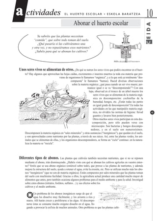 ctividadesctividades 10aa
43
E L H U E RTO E S C O L A R • E S KO L A B A R AT Z E A
Abonar el huerto escolar
Ya sabréis que las plantas necesitan
“comida”, que sobre todo toman del suelo.
¿Qué pasaría si las cultiváramos una
y otra vez, y no repusiéramos esos nutrientes?
¿Sabéis para qué se abonan los cultivos?
Unos seres vivos se alimentan de otros. ¿De qué se nutren los seres vivos que podéis encontrar en el huer-
to? Hay algunos que aprovechan las hojas caídas, excrementos e insectos muertos (a toda esa materia que pro-
viene de organismos le llamamos “orgánica”, y a la que está ya totalmente “des-
compuesta” le llamamos “humus). Haced diversas observaciones
sobre la materia orgánica: ¿qué pasa cuando un ser vivo muere; per-
manece igual o se va “descomponiendo”? Con una
lupa, observad en el tronco de un árbol muerto los
seres vivos que se alimentan de la materia orgá-
nica en descomposición: cochinillas de la
humedad, hongos, etc. ¿Están todas las partes
en igual grado de descomposición? En todas las
actividades en las que manipuléis materia orgá-
nica, no olvidéis las normas de higiene: llevad
guantes y lavaros bien posteriormente.
Otros muchos seres vivos participan en esta des-
composición, pero sólo pueden verse con
microscopio. Son bacterias y hongos descompo-
nedores, y en el suelo son numerosísimos.
Descomponen la materia orgánica en “sales minerales” y otras sustancias (“inorgánicas”), que quedan en el suelo,
y son aprovechadas como nutrientes por las plantas, a través de sus raíces. Así, entre las plantas verdes, los ani-
males que se alimentan de ellas, y los organismos descomponedores, se forma un “ciclo" continuo: en la natura-
leza la materia se “recicla”.
Diferentes tipos de abonos. Las plantas que cultiváis también necesitan nutrientes, que si no se reponen
mediante el abono, irán disminuyendo. ¿Habéis visto con qué se abonan los cultivos agrícolas en vuestro entor-
no? Veréis que se usa abono orgánico (estiércol sobre todo), que provee a las plantas de nutrientes, y además
mejora la estructura del suelo, ayuda a retener el agua, evita la erosión, etc. Pero se utilizan mucho más los abo-
nos “inorgánicos” (que no son de materia orgánica). Están compuestos por sales minerales que las plantas toman
del suelo con muchísima facilidad. Gracias a ellos, la agricultura actual produce una cantidad mucho mayor de
alimentos que antes, pero también ocasiona algunos problemas para el medio ambiente y para la salud. Investigad
sobre estos abonos (nitratos, fosfatos, sulfatos…) y sus efectos sobre los
cultivos y el medio ambiente.
❂Un problema de los abonos inorgánicos surge de que el
agua los disuelve muy fácilmente, y los arrastra a ríos y
mares. Allí harán crecer y proliferarse a las algas. Al descompo-
nerse éstas se consume mucho oxígeno disuelto en el agua, lle-
gando a provocar la axfisia de muchos animales. Otro problema es que las plantas culti-
CEIDA
 