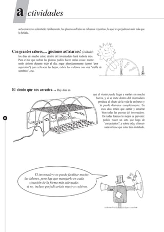 ctividadesctividadesaa
46
sol comienza a calentarlo rápidamente, las plantas sufrirán un calentón repentino, lo que les perjudicará aún más que
la helada.
Con grandes calores,… ¡podemos asfixiarnos! ¡Cuidado!:
los días de mucho calor, dentro del invernadero hará todavía más.
Para evitar que sufran las plantas podéis hacer varias cosas: mante-
nerlo abierto durante todo el día, regar abundantemente (como “por
aspersión”) para refrescar las hojas, cubrir los cultivos con una “malla de
sombreo”, etc.
El viento que nos arrastra… Hay días en
que el viento puede llegar a soplar con mucha
fuerza, y si se mete dentro del invernadero
produce el efecto de la vela de un barco y
lo puede destrozar completamente. En
esos días tenéis que cerrar y amarrar
bien todas las puertas del invernadero.
De todas formas lo mejor es prevenir:
podéis poner un seto que haga de
“cortavientos”; y sobre todo, el inver-
nadero tiene que estar bien instalado.
El invernadero os puede facilitar mucho
las labores, pero hay que manejarlo en cada
situación de la forma más adecuada;
si no, incluso perjudicaríais vuestros cultivos.
 