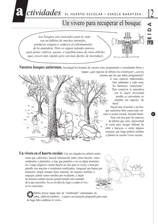 ctividadesctividades 12aa
47
E L H U E RTO E S C O L A R • E S KO L A B A R AT Z E A
Un vivero para recuperar el bosque
Los bosques son esenciales para la vida:
son un hábitat de muchos animales,
producen oxígeno y reducen el calentamiento
de la atmósfera. Pero se siguen talando enteros,
para poner cultivos, pastos, o repoblaciones de otros árboles
(que crecen más rápido pero son más fáciles de incendiar).
Nuestros bosques autóctonos. Investigad los bosques de vuestra zona, preguntando o consultando libros y
mapas: ¿qué especies de árboles los constituyen?, ¿son las
mismas que las que había antiguamente?
A esas especies tradicionales,
bien adaptadas a cada zona,
les llamamos “autóctonas”.
Para conservar la naturaleza
con la mayor diversidad
posible es conveniente no
repoblar con especies “de
fuera”.
Haced una excursión a un bos-
que autóctono bien conservado cer-
cano a vuestra escuela. Intentad identi-
ficar con una guía las especies
de árboles que veáis. Aprovechad
la visita para recoger bellotas de
roble o hayucos, o cortar algunos
esquejes, que luego podréis sembrar
y plantar en vuestro vivero escolar.
Un vivero en el huerto escolar. Una vez elegidos los árboles autóc-
tonos que cultivaréis, buscad información sobre cómo hacerlo: cómo
sembrarlos o plantarlos, si hay que podarlos o no en algún momento,
etc. Luego elegid en vuestro huerto un sitio para el vivero, o bien pre-
paradlo con macetas o recipientes reutilizados. Asegurad una buena ger-
minación: elegid siempre buen material, las mejores semillas o
esquejes; poned varias semillas por recipiente, y dejad
las mejores cuando nazcan; poned siempre más cantidad
de la que necesitéis. No os olvidéis de regar y cuidar el vive-
ro en vacaciones.
❂Debéis prever algún tipo de “sombreado” (entramados de
cañas, malla de sombreo…) sujeto a un armazón, preparado para cuan-
do haga falta sombrear el vivero.
CEIDA
 