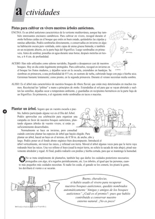 ctividadesctividadesaa
48
Pistas para cultivar en vivero nuestros árboles autóctonos.
ENCINA: Es un árbol autóctono característico de la vertiente mediterránea, aunque hay tam-
bién interesantes encinares cantábricos. Para cultivar en vivero, recoged durante el
otoño bellotas caídas en el bosque que estén en buen estado, quitándoles las cúpulas y
ramitas adheridas. Podéis sembrarlas directamente, o conservadlas en invierno en algu-
na habitación oscura pero ventilada, entre capas de arena gruesa húmeda; o también
en un recipiente abierto, en la parte baja del frigorífico. Luego sembradlas en prima-
vera. Antes de sembrar, ponedlas en agua durante unas horas; después meterlas en ties-
tos, a 4–8 cm. de profundidad.
ACEBO: Han sido utilizados como adorno navideño, llegando a desaparecer casi de nuestros
bosques. Hoy en día están legalmente protegidos. Para cultivarlos, recoged en invierno en
el bosque los frutos maduros, y dejadlos secar en la escuela, extendidos en bandejas. Se
siembran en primavera, a una profundidad de 0’5 cm, en sustrato de turba, cubriendo luego con paja o hierba seca.
Germinan bastante lentamente; como pronto, en la segunda primavera. Durante el verano necesitan media sombra.
ALISO: Es el árbol más característico de nuestros bosques de ribera fluvial, que están muy deteriorados en muchos tra-
mos. Recolectad las “piñitas” a mano a principios de otoño. Extendedlas al sol para que se vayan abriendo y suel-
ten las semillas; dejadlas secar a temperatura ambiente, y guardadlas en recipientes herméticos en la parte baja de
un frigorífico. En primavera, o al siguiente otoño sembradlas en tacos o macetas.
Plantar un árbol. Seguro que en vuestra escuela o pue-
blo, habréis participado alguna vez en el Día del Árbol.
Podéis aprovechar esa celebración para organizar una
campaña en favor de nuestros bosques autóctonos, plan-
tando algunos árboles de vuestro vivero, si están ya
suficientemente desarrollados.
Normalmente se hace en invierno, pero consultad
cuándo conviene plantar las especies de árbol que hayáis elegido. Para
plantar un árbol, haced un hoyo en el terreno, de 0’50 m. de ancho, alto y
largo. Podéis poner en el fondo abono orgánico bien descompuesto. Introducid el
árbol verticalmente, sin torcer las raíces, y rellenad con tierra. Moved el árbol algunas veces para que la tierra vaya
rodeando bien las raíces. Una vez relleno el hoyo (usad la mejor tierra, no echéis la sacada de más abajo), pisad sua-
vemente alrededor y regad. Al final, podéis rodearlo con piedras y hierba cortada, para que se mantenga la humedad.
❂No se trata simplemente de plantarlos, también hay que darles los cuidados posteriores necesarios:
protegedlos con algo, id a regarlos periódicamente, etc. Los árboles, al igual que las personas, cuan-
to más pequeños más cuidados necesitan. Si nadie los cuida, el ganado se los comerá, los pisará la gente,
los derribará el viento o se secarán.
Bueno, chavales/as,
si habéis usado el vivero para recuperar
nuestros bosques autóctonos, quedáis nombrados
automáticamente “Amigas y amigos de los bosques
autóctonos”.¿Cuál es el premio?: pues que habéis
contribuido a conservar nuestro
entorno natural. ¡No es poco!
 