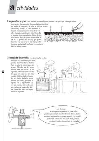 ctividadesctividadesaa
50
Las grosellas negras. Estos arbustos crecen en lugares arenosos o de grava que contengan humus
y en parajes algo sombríos. Su reproducción se realiza
por medio de esquejes. Con ellas se fabrican licores,
confituras y jarabes. Al final del otoño al
hacer la poda cogeréis unos brotes de 25 cm.
y los plantaréis dejando entre ellos 30 cm. En
el segundo año se transplantan al lugar defini-
tivo, siendo, ahora, la distancia entre ellos de
1'8 m. El primer año no hay que podar.
Después, hay que cortar lo más bajo posible
las ramas que han dado las frutas. La cosecha se
hace en Julio y Agosto.
Mermelada de grosella. Con las grosellas podéis
hacer una rica mermelada para desa-
yunar y merendar: Lavad bien la
fruta y echad el mismo peso de
azúcar. Metedlo en la nevera
durante toda una noche. Al día
siguiente echad un cuarto de litro
de agua por cada kilo de fruta y
cocedlo. Podéis añadir el zumo
de un limón. Dejadlo hervir
durante una hora, quitando la
espuma con la espumadera. De
vez en cuando, removedlo con
una cuchara de madera. Por últi-
mo, llenad los botes con tapas
nuevas si es posible.
Los bosques
tienen gran importancia y en ellos
podéis encontrar muchos frutos. Estos frutos
son muy estimados en otros países. Los podéis
poner en sitios que no sean muy fértiles,
enriqueciendo el huerto y la escuela.
 