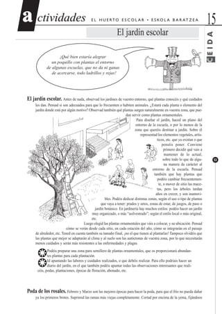 ctividadesctividades 15aa
53
E L H U E RTO E S C O L A R • E S KO L A B A R AT Z E A
El jardín escolar
¡Qué bien estaría alegrar
un poquillo con plantas el entorno
de algunas escuelas, que no da ni ganas
de acercarse, todo ladrillos y rejas!
El jardín escolar. Antes de nada, observad los jardines de vuestro entorno, qué plantas conocéis y qué cuidados
les dan. Pensad si son adecuados para que lo frecuenten o habiten animales. ¿Estará cada planta o elemento del
jardín donde está por algún motivo? Observad también qué plantas surgen naturalmente en vuestra zona, que pue-
dan servir como plantas ornamentales.
Para diseñar el jardín, haced un plano del
entorno de la escuela, o por lo menos de la
zona que queréis destinar a jardín. Sobre él
representad los elementos vegetales, artís-
ticos, etc. que ya existan o que
penséis poner. Conviene
primero decidir qué vais a
mantener de lo actual,
sobre todo lo que de algu-
na manera da carácter al
entorno de la escuela. Pensad
también que hay plantas que
podéis cambiar frecuentemen-
te, o mover de sitio las mace-
tas, pero los árboles tardan
años en crecer, y son inamovi-
bles. Podéis dedicar distintas zonas, según el uso o tipo de plantas
que vaya a tener: prados y setos, zonas de estar, de juegos, de paso o
jardín botánico. En jardinería hay muchos estilos: podéis hacer un jardín
muy organizado, o más “asilvestrado”; según el estilo local o más original,
etc.
Luego elegid las plantas ornamentales que váis a colocar, y su ubicación. Pensad
cómo se verán desde cada sitio, en cada estación del año, cómo se integrarán en el paisaje
de alrededor, etc. Tened en cuenta también su tamaño final, ¡no el que tienen al plantarlas! Tampoco olvidéis que
las plantas que mejor se adaptarán al clima y al suelo son las autóctonas de vuestra zona, por lo que necesitarán
menos cuidados y serán más resistentes a las enfermedades y plagas.
❂Podéis preparar una zona para semillero de plantas ornamentales, que os proporcionará abundan-
tes plantas para cada plantación.
❂Id apuntando las labores y cuidados realizados, o que debéis realizar. Para ello podríais hacer un
diario del jardín, en el que también podéis apuntar todas las observaciones interesantes que reali-
céis, podas, plantaciones, épocas de floración, abonado, etc.
Poda de los rosales. Febrero y Marzo son las mejores épocas para hacer la poda, para que el frío no pueda dañar
ya los primeros brotes. Suprimid las ramas más viejas completamente. Cortad por encima de la yema, fijándoos
CEIDA
 