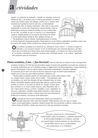 ctividadesctividadesaa
58
regaliz!). La medicina ha analizado y extraído los principios activos de
muchas de ellas, y en muchos casos se cultivan para producir los medica-
mentos que solemos tomar. Sin embargo, muchos usos y técnicas antes
conocidos por la población rural de cada zona, se están perdiendo.
Investigad sobre las plantas medicinales, sobre todo las que crecen
naturalmente en vuestra zona. Preguntad en vuestras familias, o bien en
herboristerías, farmacias, tiendas de semillas, etc. Eso sí, tened cuida-
do con ellas: no probéis las que no conocéis, ni os automediquéis:
¡según la cantidad, podrían no ser curativas sino tóxicas! En el huer-
to escolar podéis plantar muchas de ellas: albahaca, borraja, etc.
Os proponemos cultivar verbenas. Sembradlas primero en semille-
ro. No las trasplantéis demasiado pequeñas. Estad atentos/as con las hierbas competidoras; quitadlas a mano cuan-
do la tierra esté mojada. Debéis recolectar las verbenas antes de que aparezcan las flores.
❂Las verbenas son plantas de la familia de las verbenáceas (laurel, romero…), común en campos no
cultivados y a la vera de los caminos. Se usa en infusión para curar trastornos digestivos y de riñón.
Parece que en la cultura de la Roma clásica tenía carácter sagrado, y en Galicia se le conocía como hierba
de los hechizos, haciéndose ceremonias nocturnas para recolectarla (quizás “ir de verbena” significaba
antes prepararse para esa ceremonia).
Plantas aromáticas, ¡Umm…! ¡Que bien huele! Antes de cultivarlas en el huerto escolar, investigad sobre
las plantas aromáticas. De ellas hay gran diversidad, aunque en nuestra zona geográfica son mucho más comunes en
la vertiente mediterránea que en la cantábrica, porque se adaptan bien a las altas temperaturas y sequía estivales de
aquella. Precisamente el que las especies hayan evolucionado respondiendo a diferentes ambientes,
es la razón de que los seres vivos sean tan diversos; riqueza de la que nos hemos aprovechado para
muchos usos; en este caso, para elaborar perfumes, cosméticos, etc.
Muchas plantas aromáticas pueden ser interesantes para vuestro jardín botánico: cilan-
tro, estragón, hinojo, romero, menta, salvia, tomillo… Os proponemos culti-
var lavanda en un suelo bien drenado, del que eliminaréis antes las malas
hierbas. Sembradlas temprano (desde marzo) bajo cubierto. A partir de mayo,
pasadlas al exterior, en un marco de 30x30 cm. Aunque la mejor época
para recolectar es en verano cuando florecen, están disponibles todo el
año. Coged ramitos frescos y jóvenes y ponedlos a secar, colgándolos en
sitio seco, sombreado y ventilado; luego podéis triturarlas y conservarlas en
un bote herméticamente cerrado; o colocar ramos secos para ahuyentar las
polillas de los armarios y las moscas de las habitaciones.
-
❂La lavanda proviene de zona mediterránea, donde crece naturalmente
formando matorrales sobre suelos bien drenados. Podéis ponerla como seto bajo en vuestro
jardín, al cual atraerá abejas y mariposas. También estarán bien cerca de paredes, senderos, y objetos deco-
rativos hechos de ladrillos y piedra, que conservan el calor que necesitan las lavandas.
Hay que conservar los conocimientos
tradicionales sobre las plantas, y también mantener
la diversidad biológica en el futuro: pensad
que puede haber todavía plantas no descubiertas,
con posibles nuevos usos y propiedades
que perderemos si se extinguen.
 