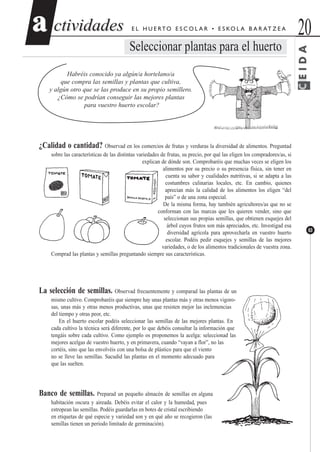 ctividadesctividades 20aa
63
E L H U E RTO E S C O L A R • E S KO L A B A R AT Z E A
Seleccionar plantas para el huerto
Habréis conocido ya algún/a hortelano/a
que compra las semillas y plantas que cultiva,
y algún otro que se las produce en su propio semillero.
¿Cómo se podrían conseguir las mejores plantas
para vuestro huerto escolar?
¿Calidad o cantidad? Observad en los comercios de frutas y verduras la diversidad de alimentos. Preguntad
sobre las características de las distintas variedades de frutas, su precio, por qué las eligen los compradores/as, si
explican de dónde son. Comprobaréis que muchas veces se eligen los
alimentos por su precio o su presencia física, sin tener en
cuenta su sabor y cualidades nutritivas, si se adapta a las
costumbres culinarias locales, etc. En cambio, quienes
aprecian más la calidad de los alimentos los eligen “del
país” o de una zona especial.
De la misma forma, hay también agricultores/as que no se
conforman con las marcas que les quieren vender, sino que
seleccionan sus propias semillas, que obtienen esquejes del
árbol cuyos frutos son más apreciados, etc. Investigad esa
diversidad agrícola para aprovecharla en vuestro huerto
escolar. Podéis pedir esquejes y semillas de las mejores
variedades, o de los alimentos tradicionales de vuestra zona.
Comprad las plantas y semillas preguntando siempre sus características.
La selección de semillas. Observad frecuentemente y comparad las plantas de un
mismo cultivo. Comprobaréis que siempre hay unas plantas más y otras menos vigoro-
sas, unas más y otras menos productivas, unas que resisten mejor las inclemencias
del tiempo y otras peor, etc.
En el huerto escolar podéis seleccionar las semillas de las mejores plantas. En
cada cultivo la técnica será diferente, por lo que debéis consultar la información que
tengáis sobre cada cultivo. Como ejemplo os proponemos la acelga: seleccionad las
mejores acelgas de vuestro huerto, y en primavera, cuando “vayan a flor”, no las
cortéis, sino que las envolvéis con una bolsa de plástico para que el viento
no se lleve las semillas. Sacudid las plantas en el momento adecuado para
que las suelten.
Banco de semillas. Preparad un pequeño almacén de semillas en alguna
habitación oscura y aireada. Debéis evitar el calor y la humedad, pues
estropean las semillas. Podéis guardarlas en botes de cristal escribiendo
en etiquetas de qué especie y variedad son y en qué año se recogieron (las
semillas tienen un periodo limitado de germinación).
CEIDA
 