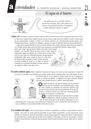 ctividadesctividades 21aa
65
E L H U E RTO E S C O L A R • E S KO L A B A R AT Z E A
El agua en el huerto
Ya sabéis que no es posible cultivar
un huerto sin agua, pero ¿hay agua en el
huerto sin que haya llovido o lo reguéis?
¿Cómo debemos utilizar el agua?
¡Agua, va! Investigad y anotad en vuestro cuaderno todas las observaciones sobre el agua que realicéis en el huer-
to. Qué ocurre cuando llueve (según la fuerza con que lo hace; según cómo esté cubierto el suelo o cómo estaba
de seco anteriormente; si salpica, se filtra o si se forman corrientes, etc.). Haced pruebas cuando reguéis: cómo
responden las plantas, si resultan o no dañadas o qué pasa al regar con diferente fuerza un terreno descubierto.
¿Qué ocurre cuando laboreáis un suelo no suficientemente seco, cuando camináis sobre el huerto en plena llu-
via? ¿Habéis notado algún punto del huerto que permanezca anormalmente húmedo, lugares donde
parece que “surge” agua de abajo? ¿Habéis observado el rocío alguna
mañana? ¿y la escarcha? Observad cómo se seca el suelo: según la
temperatura, según esté cubierto, etc. Cuando cavéis un hoyo o labo-
reéis la tierra, fijaos en la diferente presencia de agua según la
profundidad. ¿Qué ocurre cuando no llueve en varios días:
de dónde extraen las plantas el agua? ¿Todas necesitan
la misma cantidad de agua? ¿y en todas las épocas?
Comparad el crecimiento de plantas similares en mace-
tas, regando el doble a unas que a otras.
El suelo contiene agua. Podéis comprobar la presencia del agua en el suelo con este experimento: Coged 100
gr. de tierra y ponedla en una bandeja, previamente pesada. Dejad la bandeja sobre una estufa durante un día o
dos. Revolvedla de vez en cuando. Si ponéis encima un vaso o campana de
cristal, se verá que las paredes se empañan por el agua evaporada. Después
de varios días, pesadla de nuevo y sabréis cuánta agua había.
❂El agua del suelo es vital para las plantas, pues la necesitan
para sus procesos fisiológicos, pero también porque el agua
del suelo contiene en disolución los elementos nutritivos que
necesita. El agua del suelo proviene generalmente de las precipi-
taciones, y el suelo la retiene; si no, entre una y otra precipitación,
las plantas no la tendrían a su disposición.
❂La vegetación impide que el agua del suelo se evapore
tan rápidamente, además de proteger el suelo de la ero-
sión. El suelo del bosque es una auténtica esponja que va escu-
rriendo agua poco a poco, por lo que mantienen el caudal de los ríos; se puede decir que un bosque es
como un embalse, sin necesidad de haber construido una presa.
Los caminos del agua. Que va hacia abajo ya lo habréis comprobado, y se debe a lo que llamamos “permea-
bilidad”. ¿Son todos los suelos igual de permeables al agua? Podéis comprobarlo con este experimento: haced
embudos con la parte de arriba de una botella, y poned una gasa tapando el agujero por dentro. Coged muestras
de tierra diferentes, y poned cada una de ellas en los embudos. Echad agua y al cabo de, por ejemplo, 3 minutos
medid en una probeta qué volumen de agua ha pasado, cuánto tiempo ha tardado en pasar. ¿Qué suelo es más per-
meable?
CEIDA
 