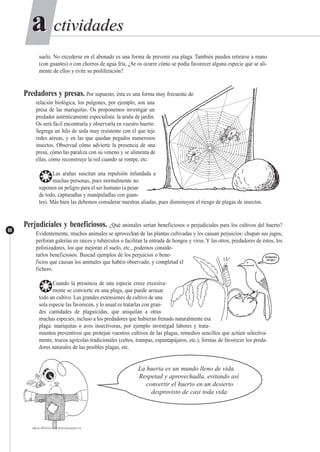 ctividadesctividadesaa
68
suelo. No excederse en el abonado es una forma de prevenir esa plaga. También pueden retirarse a mano
(con guantes) o con chorros de agua fría. ¿Se os ocurre cómo se podía favorecer alguna especie que se ali-
mente de ellos y evite su proliferación?
Predadores y presas. Por supuesto, ésta es una forma muy frecuente de
relación biológica; los pulgones, por ejemplo, son una
presa de las mariquitas. Os proponemos investigar un
predador auténticamente especialista: la araña de jardín.
Os será fácil encontrarla y observarla en vuestro huerto.
Segrega un hilo de seda muy resistente con el que teje
redes aéreas, y en las que quedan pegados numerosos
insectos. Observad cómo advierte la presencia de una
presa, cómo las paraliza con su veneno y se alimenta de
ellas, cómo reconstruye la red cuando se rompe, etc.
❂Las arañas suscitan una repulsión infundada a
muchas personas, pues normalmente no
suponen un peligro para el ser humano (a pesar
de todo, capturadlas y manipuladlas con guan-
tes). Más bien las debemos considerar nuestras aliadas, pues disminuyen el riesgo de plagas de insectos.
Perjudiciales y beneficiosos. ¿Qué animales serían beneficiosos o perjudiciales para los cultivos del huerto?
Evidentemente, muchos animales se aprovechan de las plantas cultivadas y les causan perjuicios: chupan sus jugos,
perforan galerías en raíces y tubérculos o facilitan la entrada de hongos y virus.Y las otros, predadores de éstos, los
polinizadores, los que mejoran el suelo, etc., podemos conside-
rarlos beneficiosos. Buscad ejemplos de los perjuicios o bene-
ficios que causan los animales que habéis observado, y completad el
fichero.
❂Cuando la presencia de una especie crece excesiva-
mente se convierte en una plaga, que puede arrasar
todo un cultivo. Las grandes extensiones de cultivo de una
sola especie las favorecen, y lo usual es tratarlas con gran-
des cantidades de plaguicidas, que aniquilan a otras
muchas especies, incluso a los predadores que hubieran frenado naturalmente esa
plaga: mariquitas o aves insectívoras, por ejemplo investigad labores y trata-
mientos preventivos que protejan vuestros cultivos de las plagas, remedios sencillos que actúen selectiva-
mente, trucos agrícolas tradicionales (cebos, trampas, espantapájaros, etc.), formas de favorecer los preda-
dores naturales de las posibles plagas, etc.
La huerta es un mundo lleno de vida.
Respetad y aprovechadla, evitando así
convertir el huerto en un desierto
desprovisto de casi toda vida.
 