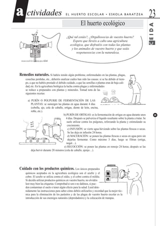 ctividadesctividades 23aa
69
E L H U E RTO E S C O L A R • E S KO L A B A R AT Z E A
El huerto ecológico
¿Qué tal estáis?, ¿Orgullosos/as de vuestro huerto?
Espero que llevéis a cabo una agricultura
ecológica, que disfrutéis con todas las plantas
y los animales de vuestro huerto y que seáis
respetuosos/as con la naturaleza.
Remedios naturales. Si habéis tenido algún problema; enfermedades en las plantas, plagas,
cosechas perdidas, etc., deberéis analizar cuáles han sido las causas: si se ha debido al tiem-
po, a que no habéis prestado el debido cuidado, a que las semillas o plantas eran de baja cali-
dad, etc. En la agricultura biológica la lucha contra plagas y enfermedades
se reduce a preparados con plantas y minerales. Tomad nota de las
siguientes recetas:
a) PURÍN O POUPURRI DE FERMENTACIÓN DE LAS
PLANTAS: se sumergen las plantas en agua durante 4 días
(cebolla, ajo, cola de caballo, ortigas, diente de león, encina,
roble, etc.).
b) PURÍN DE ORTIGAS: es la fermentación de ortigas en agua durante unos
4 días. Después se pulveriza el líquido resultante sobre la planta a tratar. Se
suele utilizar contra los pulgones, reforzando la planta y estimulando su
crecimiento.
c) INFUSIÓN: se vierte agua hirviendo sobre las plantas frescas o secas.
Se las deja en infusión 24 horas.
d) MACERACIÓN: se ponen las plantas frescas o secas en agua pero sin
dejarlas fermentar. Como máximo 3 días, luego se filtran (ortiga,
nogal…).
e) RECOCCIÓN: se ponen las plantas en remojo 24 horas; después se las
deja hervir durante 20 minutos (cola de caballo, ajenjo…).
Cuidado con los productos químicos. Los únicos preparados
químicos aceptados en la agricultura ecológica son el azufre y el
cobre. El azufre se utiliza contra el oidio, y el cobre contra el mildiu.
Si decidís utilizar productos químicos en vuestro huerto, no olvidéis
leer muy bien las etiquetas. Comprobad si son o no dañinos, si pue-
den contaminar el suelo o tener algún efecto para la salud. Leed dete-
nidamente las instrucciones para saber cómo debéis utilizarlos y recordad que la mejor téc-
nica para la eliminación de los parásitos y de las plagas de vuestro huerto escolar es la
introducción de sus enemigos naturales (depredadores) y la colocación de trampas.
CEIDA
 