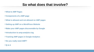 So what does that involve?
What Is AMP Pages
Components of a AMP page
What is allowed and not allowed on AMP pages
Setting up AMP on a WordPress Website
Make your AMP pages discoverable by Google
Introduction to amp-analytics tag
Tracking AMP pages in Google Analytics
Do you really need AMP?
Q & A
 