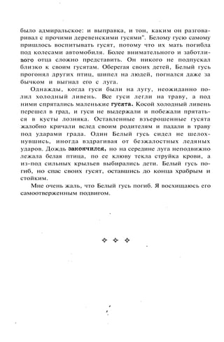 800 современных сочинений по русской и мировой литературе 5 