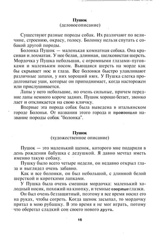 800 современных сочинений по русской и мировой литературе 5 