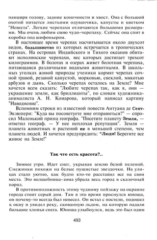 800 современных сочинений по русской и мировой литературе 5 