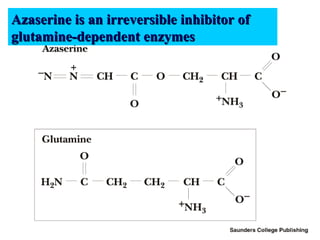 8016_n_21044 Nucleic Acid Metabolism.ppt