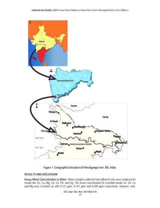 Gaikwad and Kamble, 2014; Heavy Metal Pollution of Indian River and its Biomagnifications in the Molluscs 
Figure 1. Geographical location of Panchganga river, MS, India. 
RESULTS AND DISCUSSION 
Heavy Metal Concentration in Water: Water samples collected from different sites were analysed for 
metals like Zn, Cu, Mg, Cd, Co, Pb, and Hg. The mean concentration of essential metals viz. Zn, Cu 
and Mg were recorded as with 0.121 ppm, 0.101 ppm and 0.209 ppm respectively. However, non- 
Oct. Jour. Env. Res. Vol 1(4):67-76 
69 
 