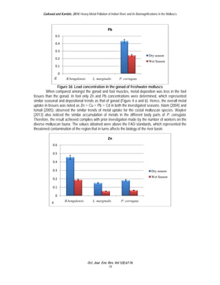 Gaik 
kwad and Kamb 
W 
tissues th 
similar se 
uptake in 
Ismail (20 
(2013) als 
Therefore 
diverse m 
threatened 
0.5 
0.4 
0.3 
0.2 
0.1 
0 
ble, 2014; Heav 
d B 
B.bengalensis 
Figure 
3d. Lead co 
ed amongst t 
d. In foot onl 
epositional tre 
noted as Zn ˃ 
ed the similar 
he similar acc 
chieved comp 
na. The value 
on of the regi 
When compare 
han the gonad 
asonal and d 
tissues was n 
005), observe 
so noticed th 
, the result ac 
molluscan faun 
d contaminati 
0.6 
0.5 
0.4 
0.3 
0.2 
0.1 
0 
a B. 
bengalensis 
vy Metal Pollutio 
n of Indian Rive 
L. margin 
Pb 
r and its Biomag 
nalis P. co 
ncentration i 
the gonad an 
y Zn and Pb 
ends as that 
Cu ˃ Pb ˃ 
trends of me 
cumulation of 
plies with prio 
es obtained w 
ion that in turn 
orrugata 
in the gonad 
d foot muscle 
b concentratio 
of gonad (Fig 
Cd in both the 
etal uptake fo 
f metals in th 
or investigatio 
were above th 
ns affects the 
L. margin 
Zn 
of freshwate 
es, metal dep 
ons were dete 
gure 4 a and 
e investigated 
or the costal 
he different b 
n made by th 
e FAO standa 
biology of the 
nalis P. c 
Oct. Jour. Env 
corrugata 
v. Res. Vol 1(4): 
74 
67-76 
gnifications in the 
e Molluscs 
Dry season 
Wet Season 
n 
er molluscs 
position was l 
ermined, whic 
b). Hence, th 
d seasons. Isl 
molluscan sp 
body parts of 
he number of 
ards, which re 
e river basin. 
less in the fo 
ch represente 
e overall met 
lam (2004) an 
pecies. Wayk 
f P. corrugat 
workers on th 
epresented th 
Dry seaso 
Wet Seas 
on 
on 
oot 
ed 
tal 
nd 
er 
ta. 
he 
he 
 