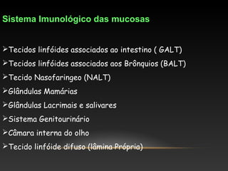 Sistema Imunológico das mucosas
Tecidos linfóides associados ao intestino ( GALT)
Tecidos linfóides associados aos Brônquios (BALT)
Tecido Nasofaringeo (NALT)
Glândulas Mamárias
Glândulas Lacrimais e salivares
Sistema Genitourinário
Câmara interna do olho
Tecido linfóide difuso (lâmina Própria)
 