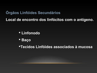 Órgãos Linfóides Secundários
Local de encontro dos linfócitos com o antígeno.
 Linfonodo
 Baço
Tecidos Linfóides associados à mucosa
 