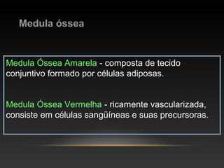 Medula óssea
Medula Óssea Amarela - composta de tecido
conjuntivo formado por células adiposas.
Medula Óssea Vermelha - ricamente vascularizada,
consiste em células sangüíneas e suas precursoras.
 