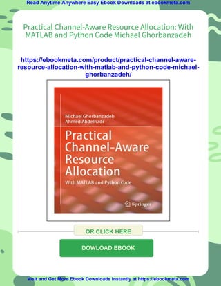 Practical Channel-Aware Resource Allocation: With MATLAB and Python ...