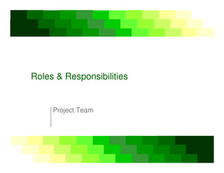 Roles  Responsibilities
Project Team
 