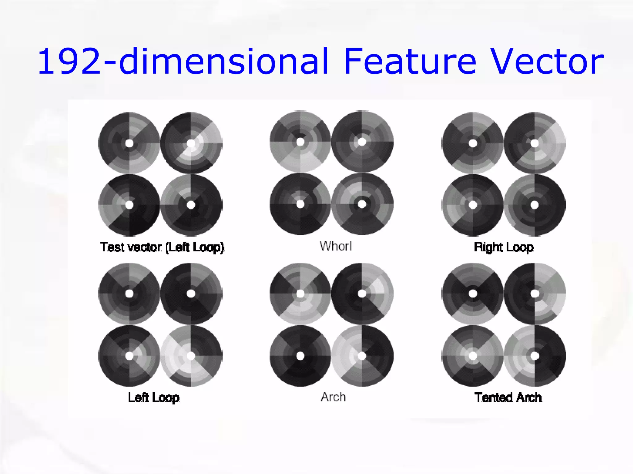 192-dimensional Feature Vector  