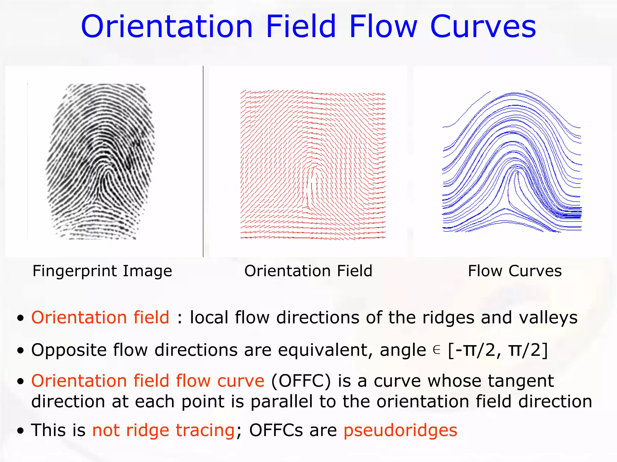 Orientation Field Flow Curves 
Fingerprint Image 
Orientation Field 
Flow Curves 
•Orientation field: local flow directions of the ridges and valleys •Opposite flow directions are equivalent, angle ε[-π/2, π/2] •Orientation field flow curve(OFFC) is a curve whose tangent direction at each point is parallel to the orientation field direction•This is not ridge tracing; OFFCsare pseudoridges  