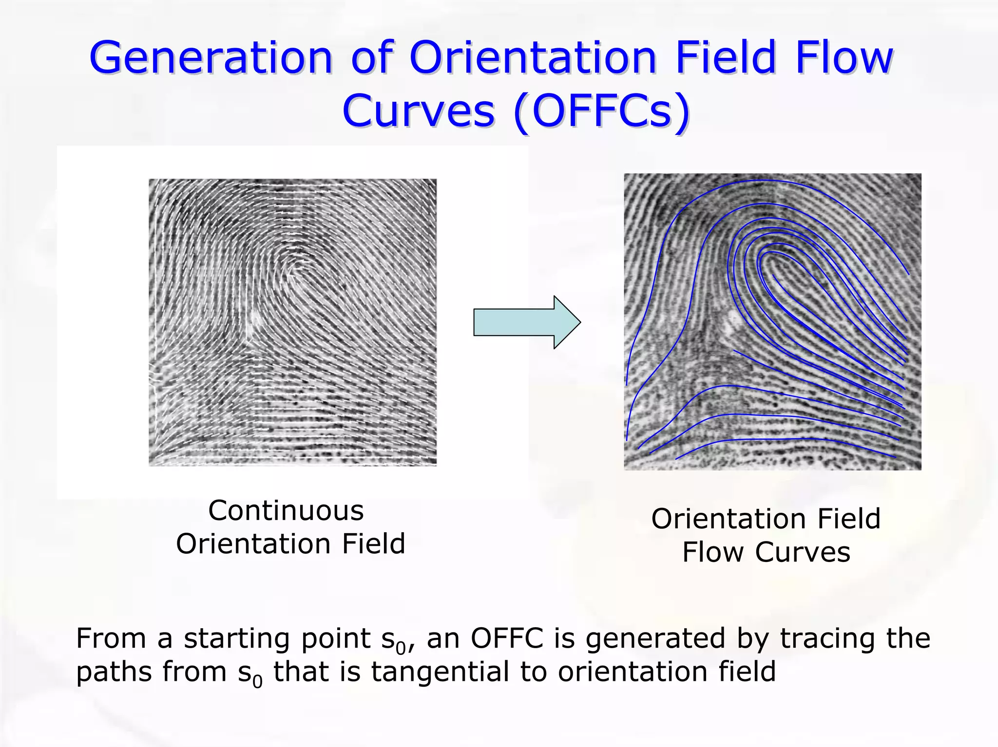 Generation of Orientation Field Flow 
Curves ( OFFCs OFFCs) 
Continuous Orientation Field 
From a starting point s0, an OFFC is generated by tracing the paths from s0that is tangential to orientation fieldOrientation FieldFlow Curves  