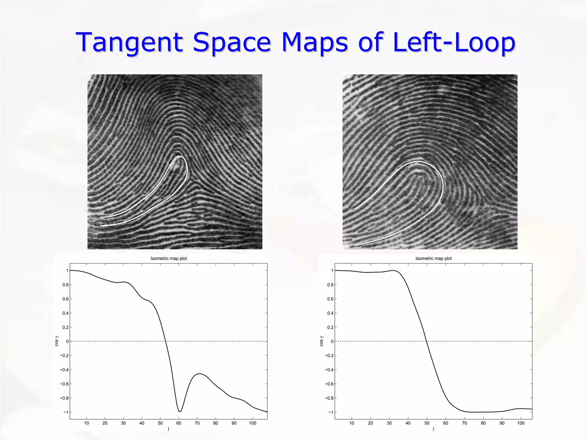 Tangent Space Maps of LeftTangent Left--LoopLoop102030405060708090100−1−0.8−0.6−0.4−0.200.20.40.60.81Isometric map plotj cos γ 102030405060708090100−1−0.8−0.6−0.4−0.200.20.40.60.81Isometric map plotj cos γ  
