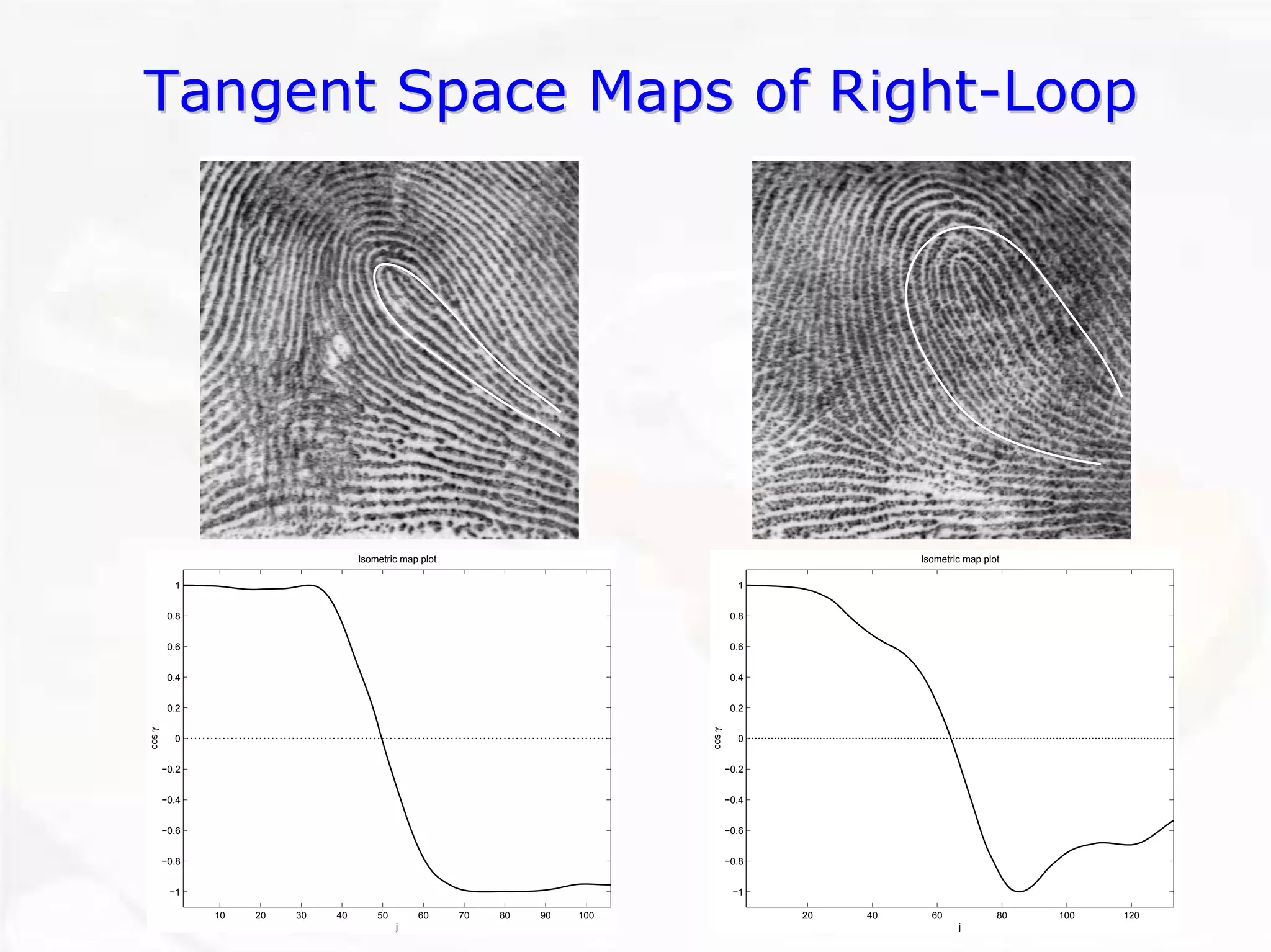 102030405060708090100−1−0.8−0.6−0.4−0.200.20.40.60.81Isometric map plotj cos γ 20406080100120−1−0.8−0.6−0.4−0.200.20.40.60.81Isometric map plotj cos γ Tangent Space Maps of RightTangent Right--LoopLoop  