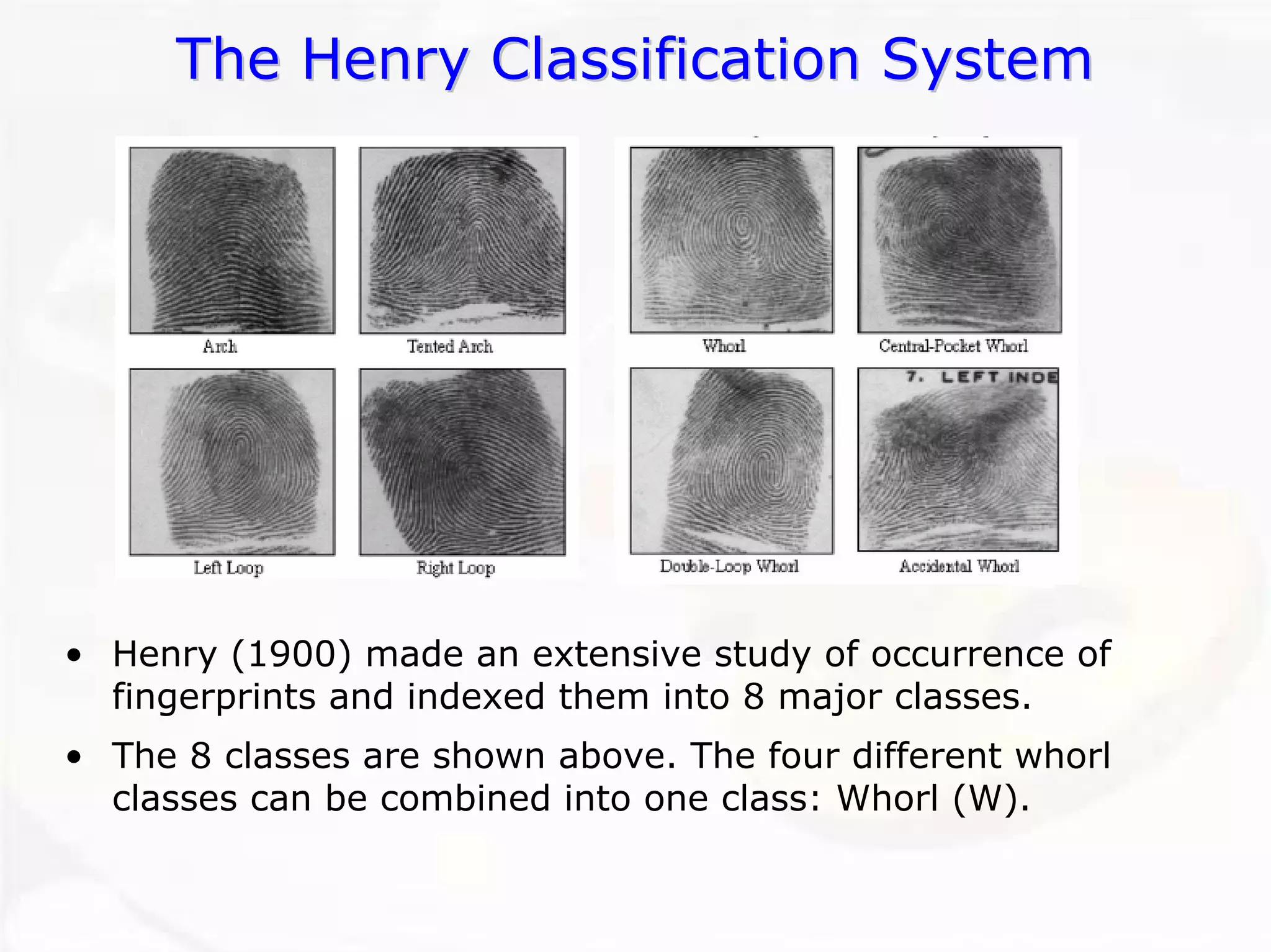 The Henry Classification SystemThe System•Henry (1900) made an extensive study of occurrence of fingerprints and indexed them into 8 major classes. •The 8 classes are shown above. The four different whorl classes can be combined into one class: Whorl (W).  