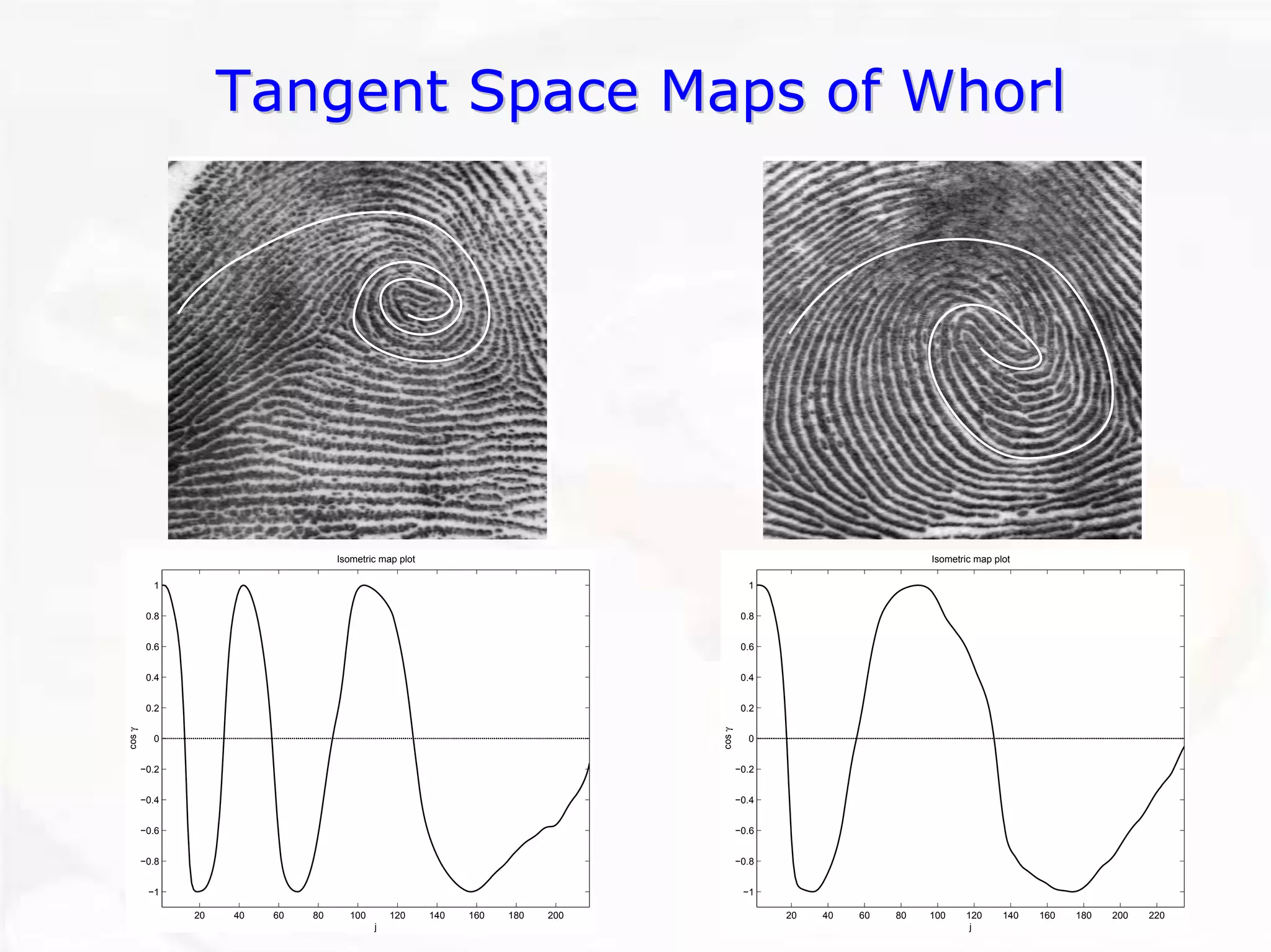 20406080100120140160180200−1−0.8−0.6−0.4−0.200.20.40.60.81Isometric map plotj cos γ 20406080100120140160180200220−1−0.8−0.6−0.4−0.200.20.40.60.81Isometric map plotj cos γ Tangent Space Maps of WhorlTangent Whorl  