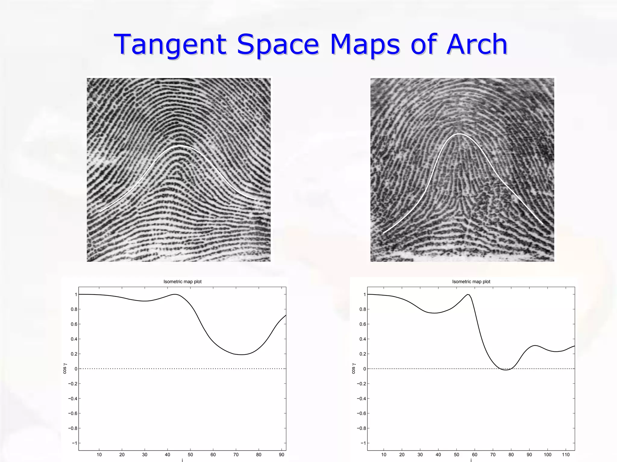 102030405060708090−1−0.8−0.6−0.4−0.200.20.40.60.81Isometric map plotj cos γ 102030405060708090100110−1−0.8−0.6−0.4−0.200.20.40.60.81Isometric map plotj cos γ Tangent Space Maps of ArchTangent Arch  