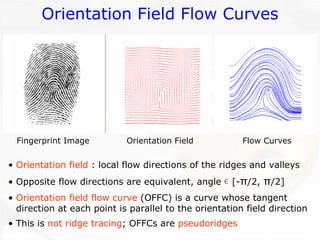 Orientation Field Flow Curves 
Fingerprint Image 
Orientation Field 
Flow Curves 
•Orientation field: local flow directions of the ridges and valleys •Opposite flow directions are equivalent, angle ε[-π/2, π/2] •Orientation field flow curve(OFFC) is a curve whose tangent direction at each point is parallel to the orientation field direction•This is not ridge tracing; OFFCsare pseudoridges  